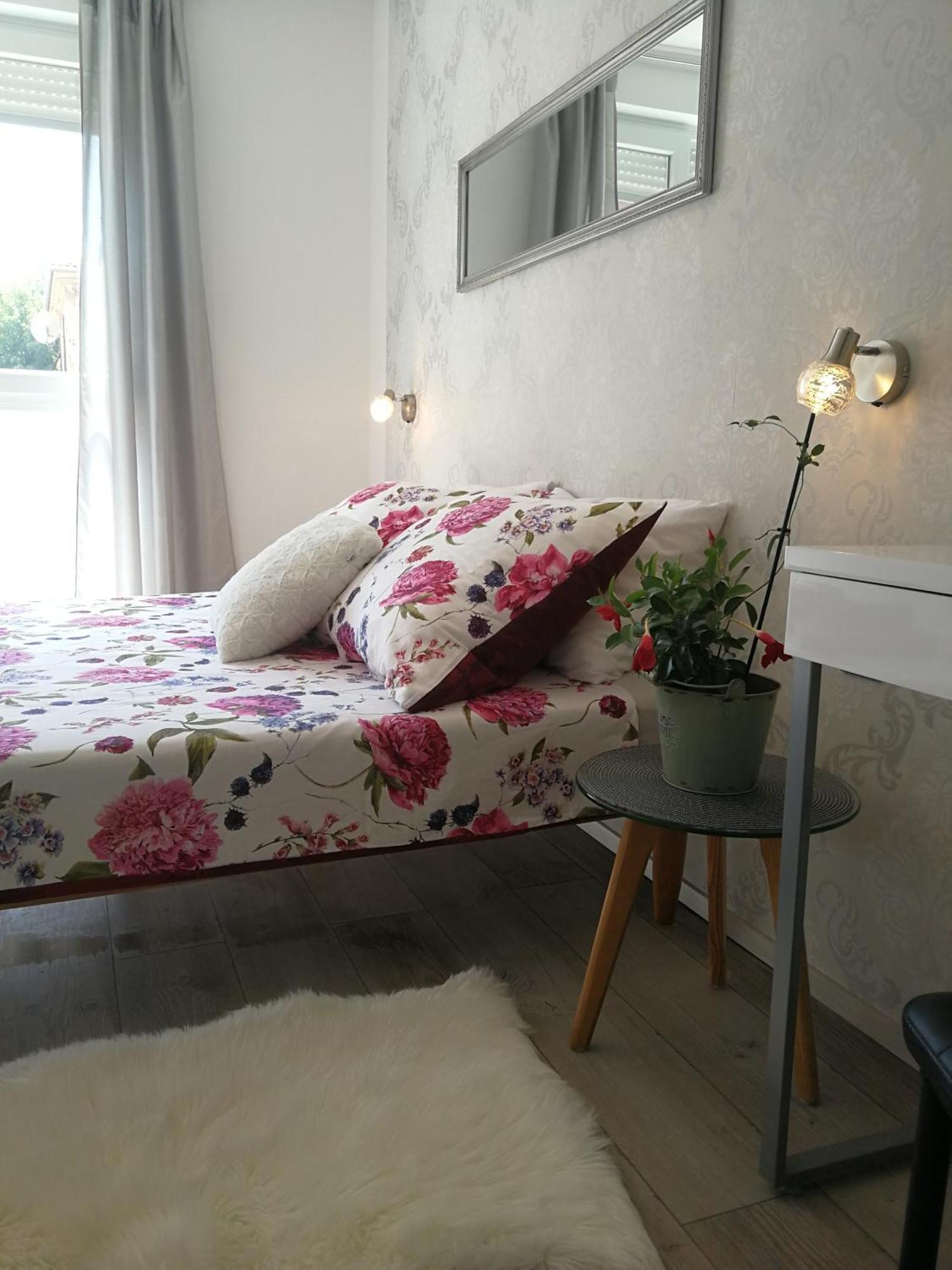 Apartman Ester بولا المظهر الخارجي الصورة